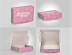 Sustainable Packaging Solutions of Vanky Pack